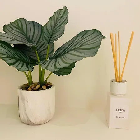 Bubbles By Bloss, Familieappartement Met Terras *