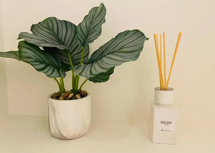 Bubbles By Bloss, Familieappartement Met Terras *